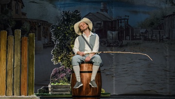 Приключения Тома Сойера