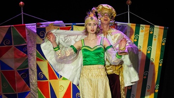 Принцесса и золотая птичка