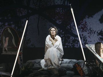 Дорогая Елена Сергеевна