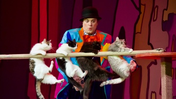 Владимир Куклачёв