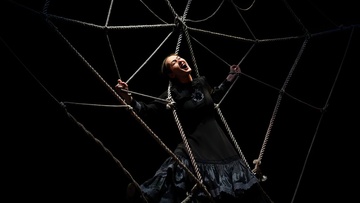 Почему люди не летают