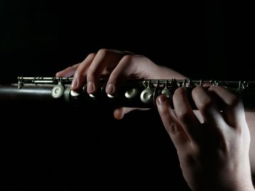 Вечер флейты
