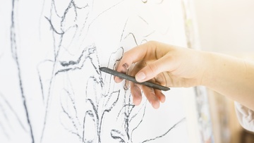 Студия книжной графики «Рисуем животный мир»