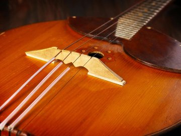 Весна-красна и серая туча