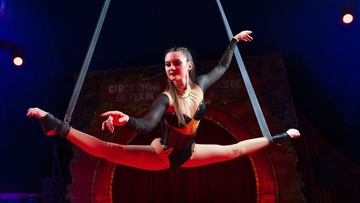 Новогодняя ёлка в цирке