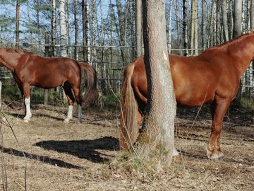 Евгений Ткачук. Природа перезагрузки