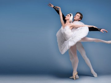 Лебединое озеро