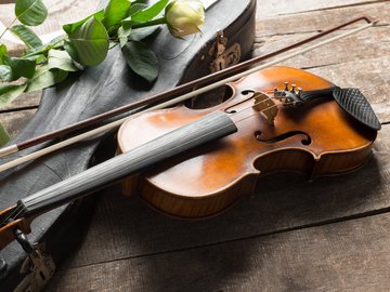 Ольга Шишкина и Владимир Шуляковский