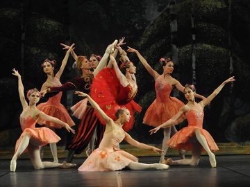 Жар-птица, Шехерезада