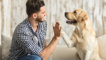 Благотворительный стендап-концерт