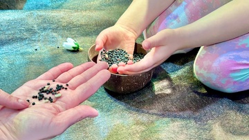 Сенсорный концерт