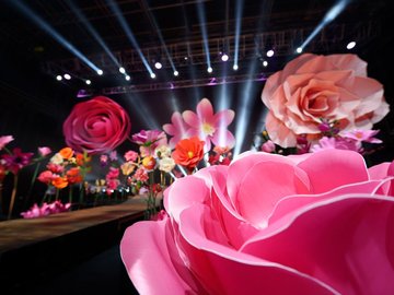 Музыка и цветы. Маленькая ночная серенада