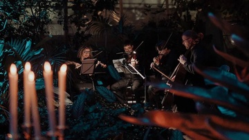 Магия свечей. Голливудские саундтреки в оранжерее