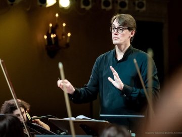 Дикие лебеди