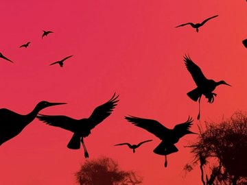 Симфонические хиты Феличита. Шедевры Челентано, Тото Кутуньо, Аль Бано, Поля Мориа, Стинга