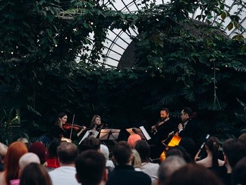 Магия свечей. От Баха до рок-хитов