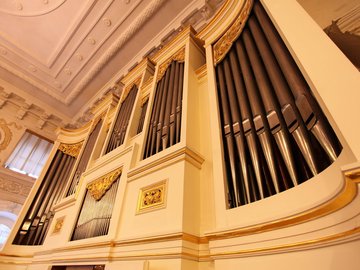 Даниэль Зарецкий