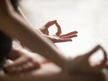 Zoo йога с животными