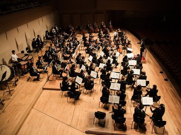 Christmas Бал Штрауса