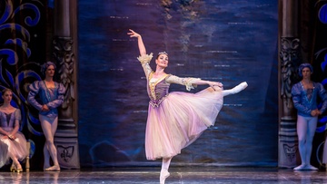 Лебединое озеро