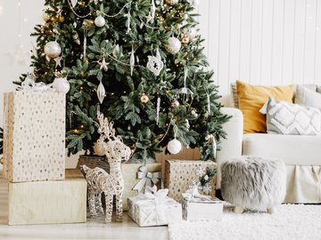 Сказка, которой не было