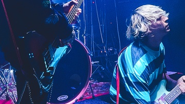 Мятный крикет