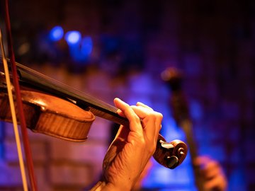 Умная собачка Соня