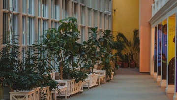 Орган и свечи. От Классики до Неоклассики