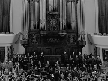 Оркестр CAGMO. Симфония Hollow Knight