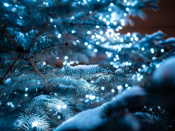 Бременские музыканты