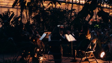 Магия свечей. Романтическая неоклассика: Людовико Эйнауди в оранжерее