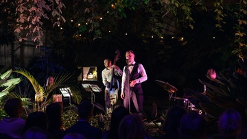 Магия свечей. Новогодний джаз. Фрэнк Синатра в оранжерее