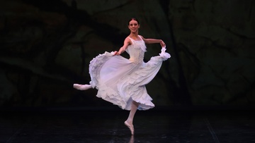 Звёзды Петербурга