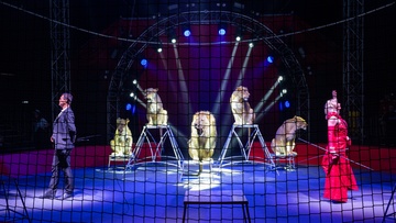 Цирк Vivat. Империя хищников