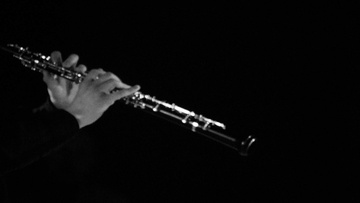 Лаборатория описания слухового наблюдения