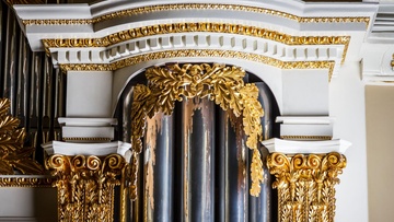 Евгения Лисицына. Орган