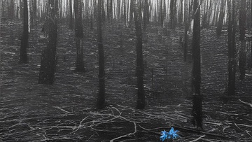 Где цветы...