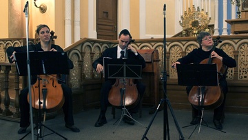 Осенняя симфония виолончелей