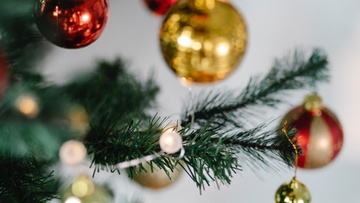 Новогодник