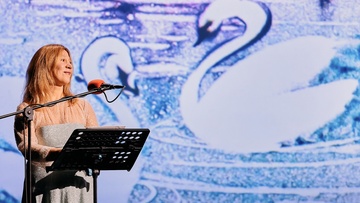 Приключения новогодних игрушек