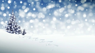 Новогодний праздник. Год лошади. Морозко