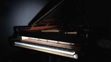 Рояль для Курёхина