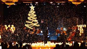 Электроёлка. Lumisfera и 5000 свечей