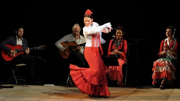 Фламенко. В ритме огня