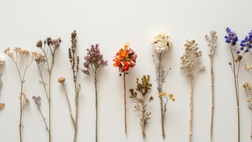 Гербарий в технике Тиффани