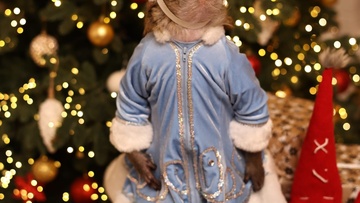 Новый год с обезьянкой Читой и Фокусником Новиковым