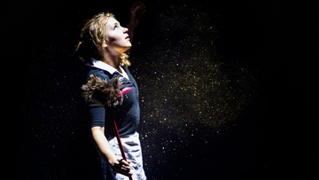 Цирк Фибоначчи