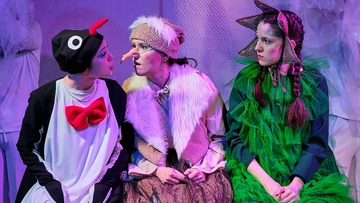 Как ёлочка пингвинёнка искала