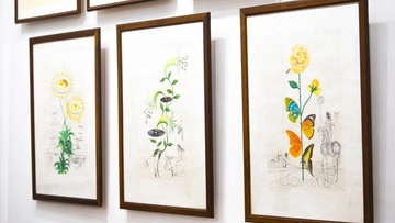 Музейная арт-терапия. Мой внутренний сад: путешествие в мир бессознательного