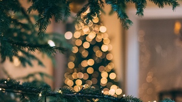 От звёздочки до звезды: история новогоднего праздника